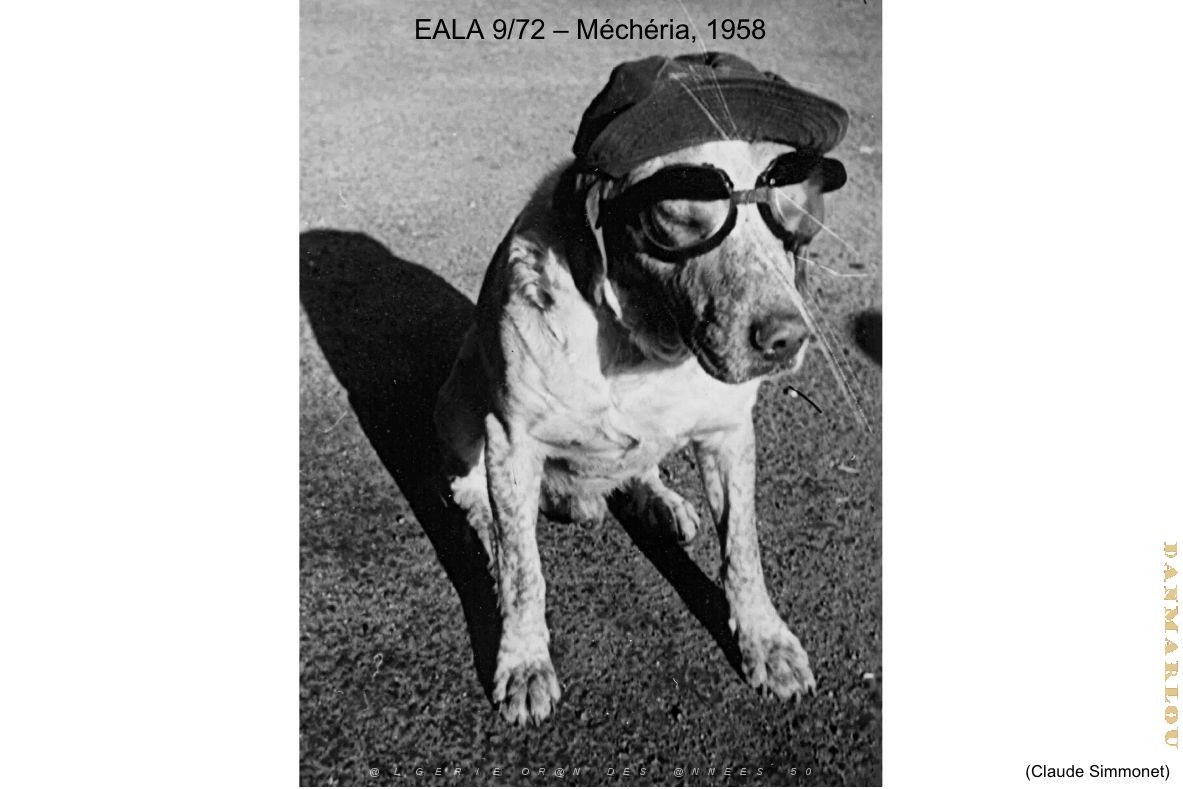 186- ARMEE DE L'AIR EN ALGERIE 1945-1962-34 (43).jpg